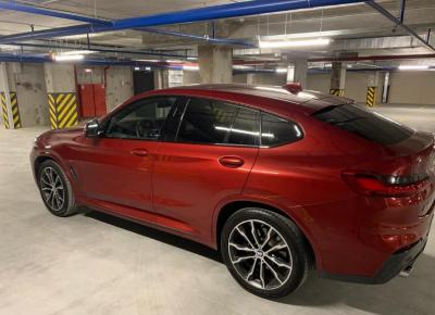 Фото BMW X4, 2019 год выпуска, с двигателем Дизель, 6 300 000 RUB в г. Санкт-Петербург