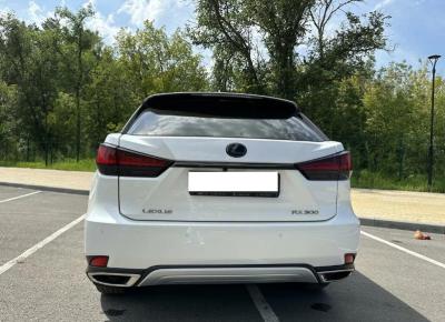 Фото Lexus RX