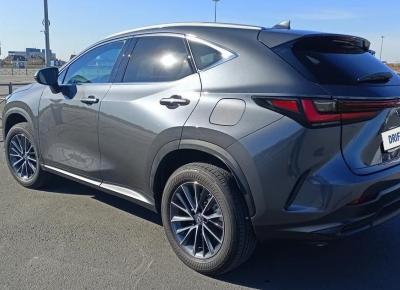 Фото Lexus NX