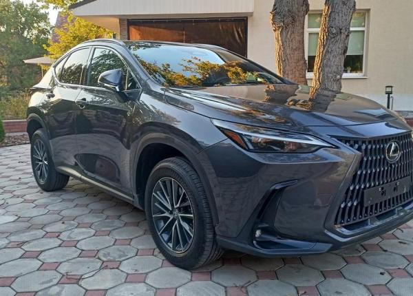 Lexus NX, 2022 год выпуска с двигателем Бензин, 5 277 000 RUB в г. Самара