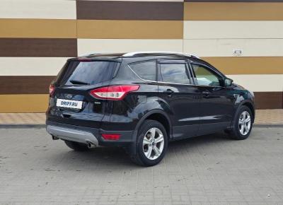 Фото Ford Kuga