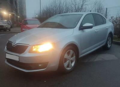 Фото Skoda Octavia