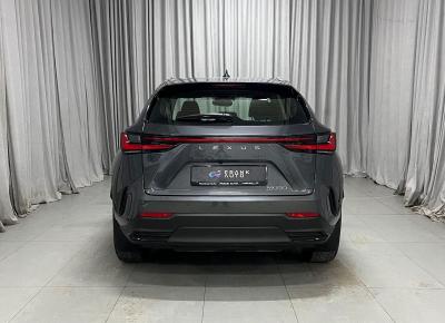 Фото Lexus NX