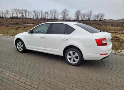 Фото Skoda Octavia