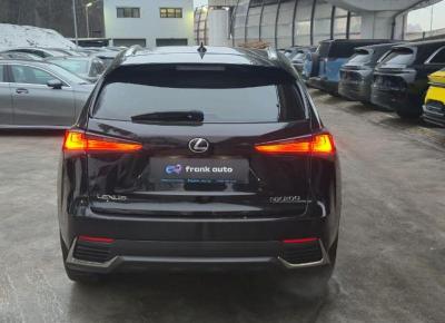 Фото Lexus NX