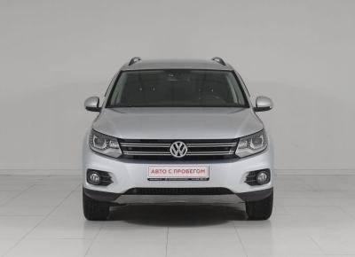 Фото Volkswagen Tiguan