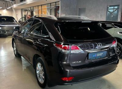 Фото Lexus RX