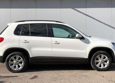 Фото Volkswagen Tiguan