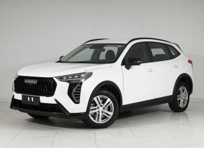 Фото Haval Jolion