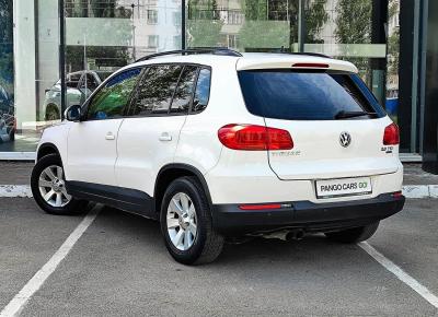 Фото Volkswagen Tiguan