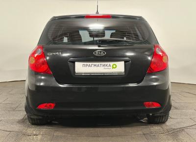 Фото Kia Ceed