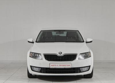 Фото Skoda Octavia