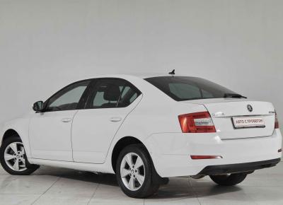 Фото Skoda Octavia