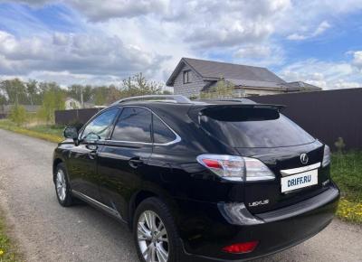 Фото Lexus RX