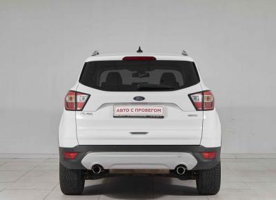 Фото Ford Kuga