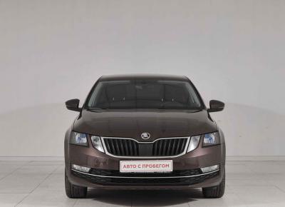 Фото Skoda Octavia