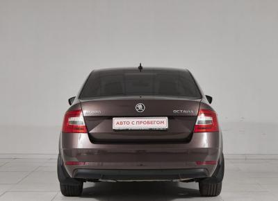 Фото Skoda Octavia
