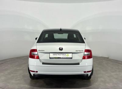 Фото Skoda Octavia