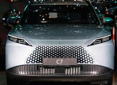Фото OMODA C7