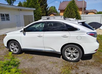 Фото Lexus RX