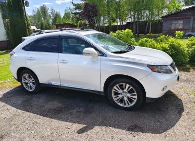 Фото Lexus RX