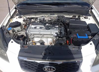 Фото Kia Rio