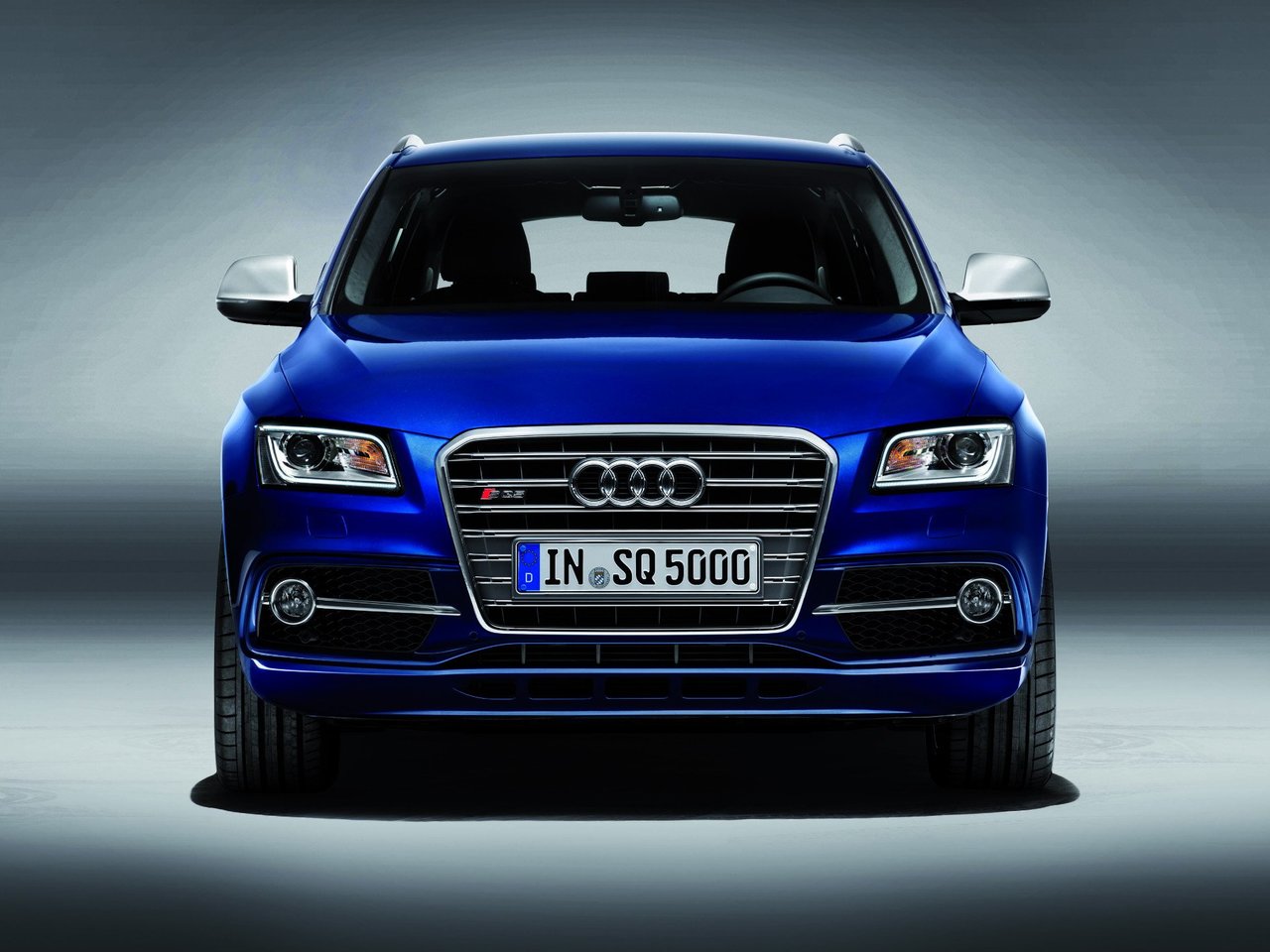 Фото Audi SQ5 I (8R)