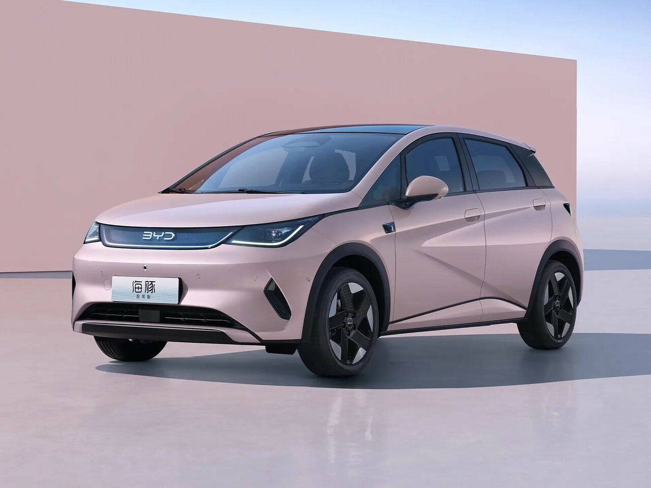 Фото BYD Dolphin I Рестайлинг