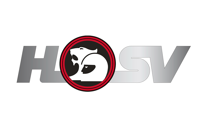 Логотип HSV
