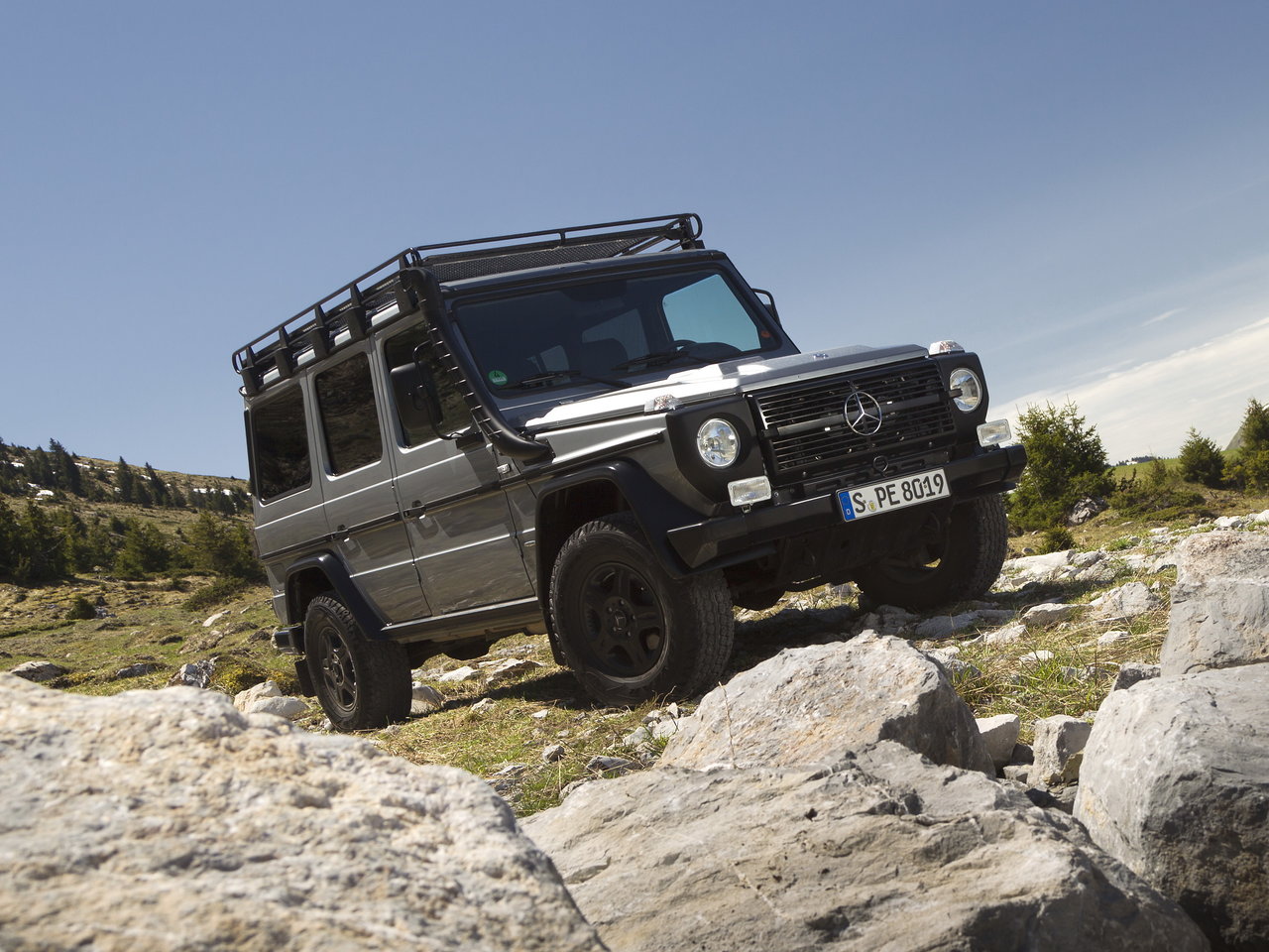 Фото Mercedes-Benz G-класс I (W461) Professional