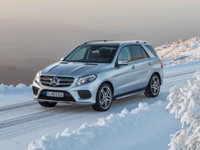 Фото Mercedes-Benz GLE I (W166) Внедорожник 5 дв.