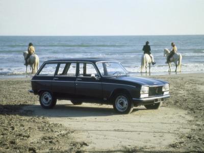 Фото Peugeot 304 I Универсал 5 дв.