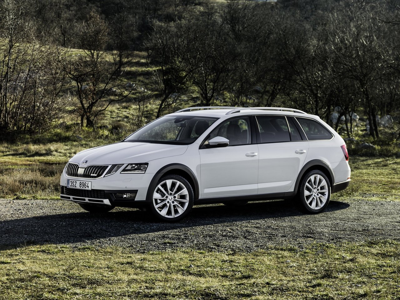 Фото Skoda Octavia A7 Рестайлинг