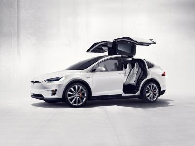 Фото Tesla Model X I Внедорожник 5 дв.